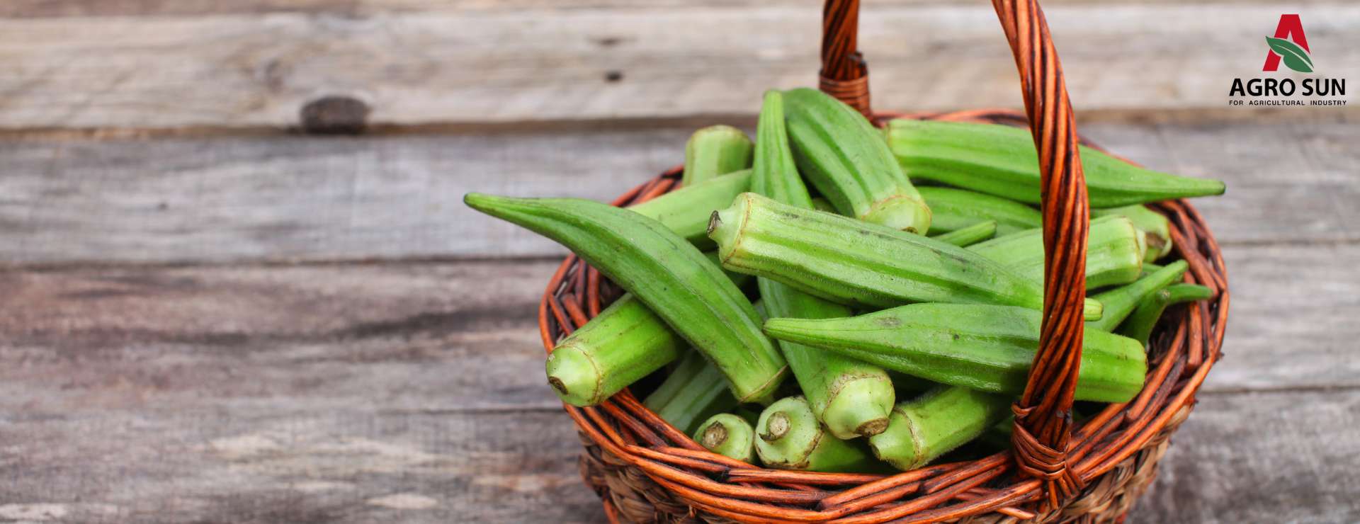 Frozen Okra - Agro Sun