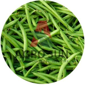 Grean Beans