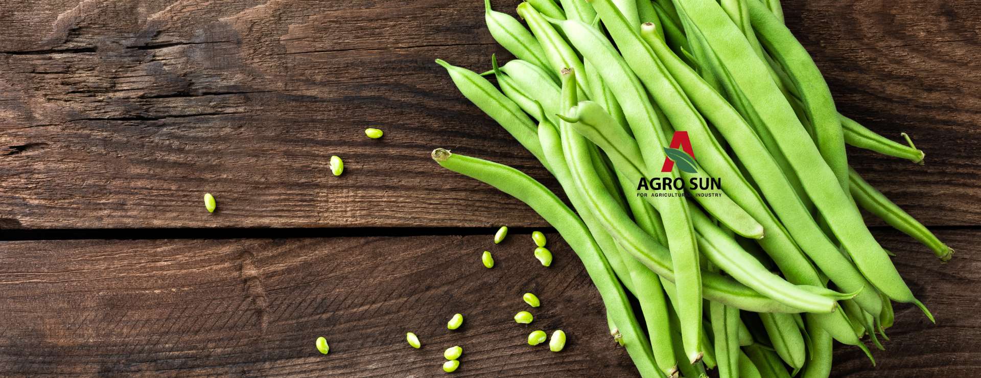 Agro Sun - Grean Beans