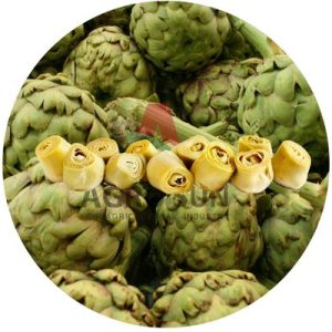 Frozen Artichokes