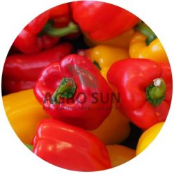 Colorful Bell Peppers